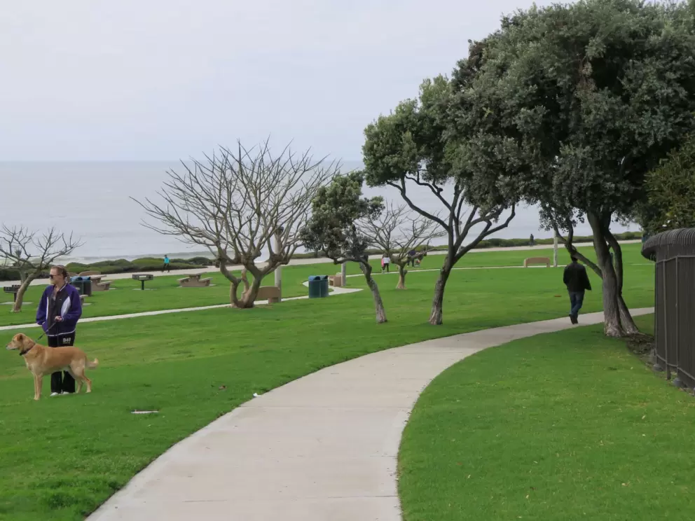 The path through the park.