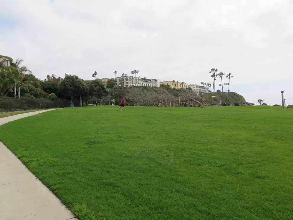 The lawn is huge!