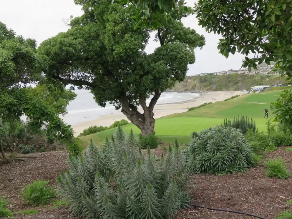 Gorgeous view across the golf course to the sea, from the path. 