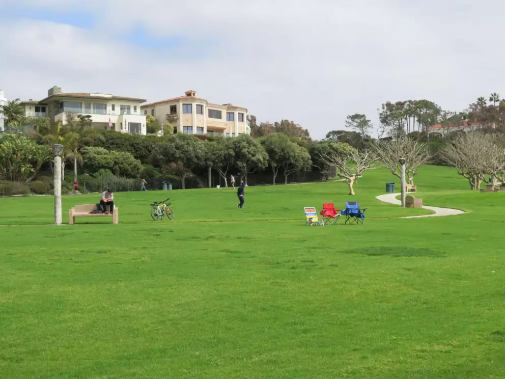 The amazing lawn!