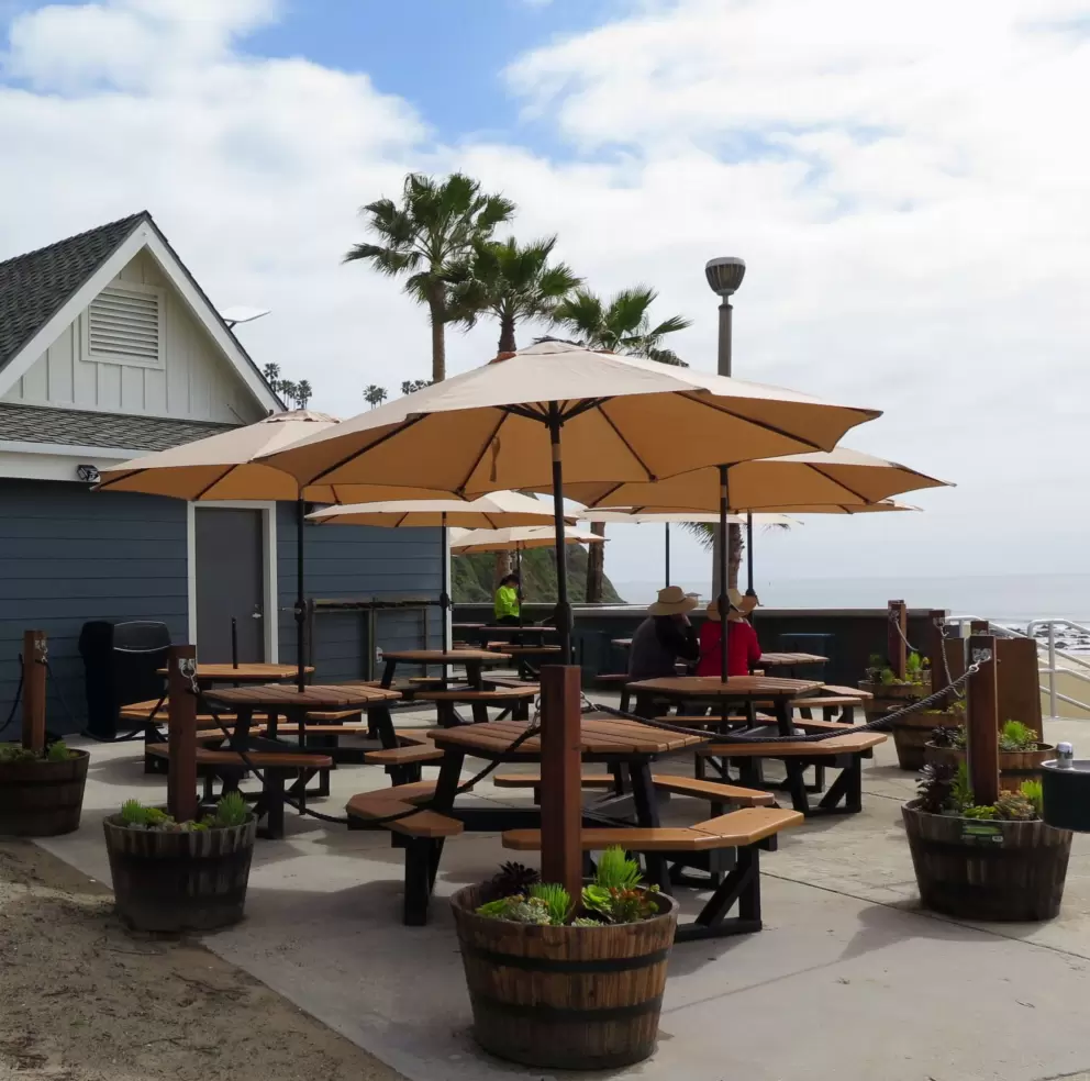 Young's Beach Shack, with views of the water. 