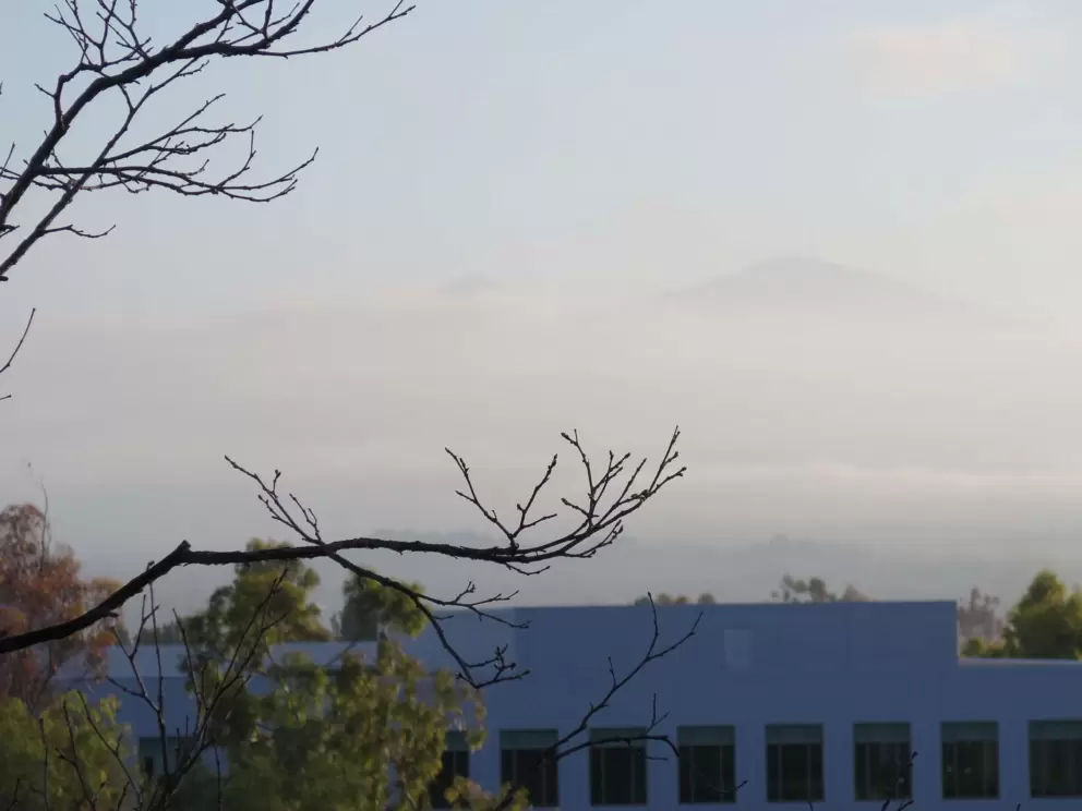 Winter branch, and mountain peak. 