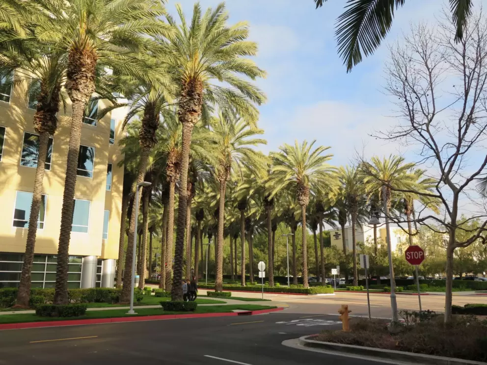 The entrance is lush with palms. 