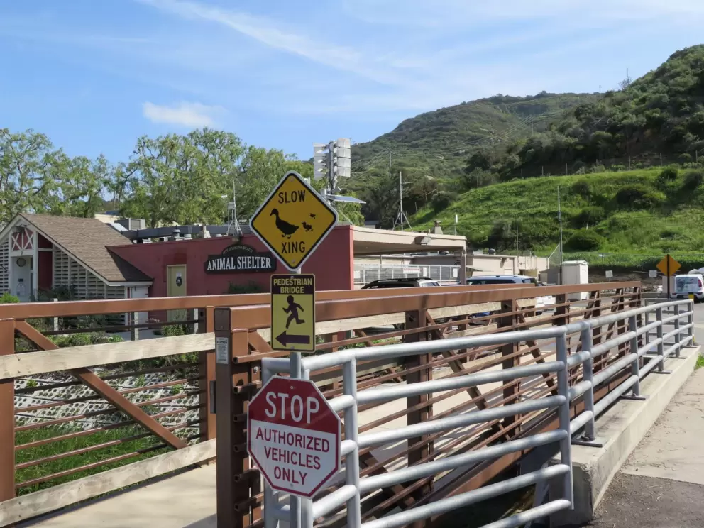 Cute duck crossing sign at the creek. 