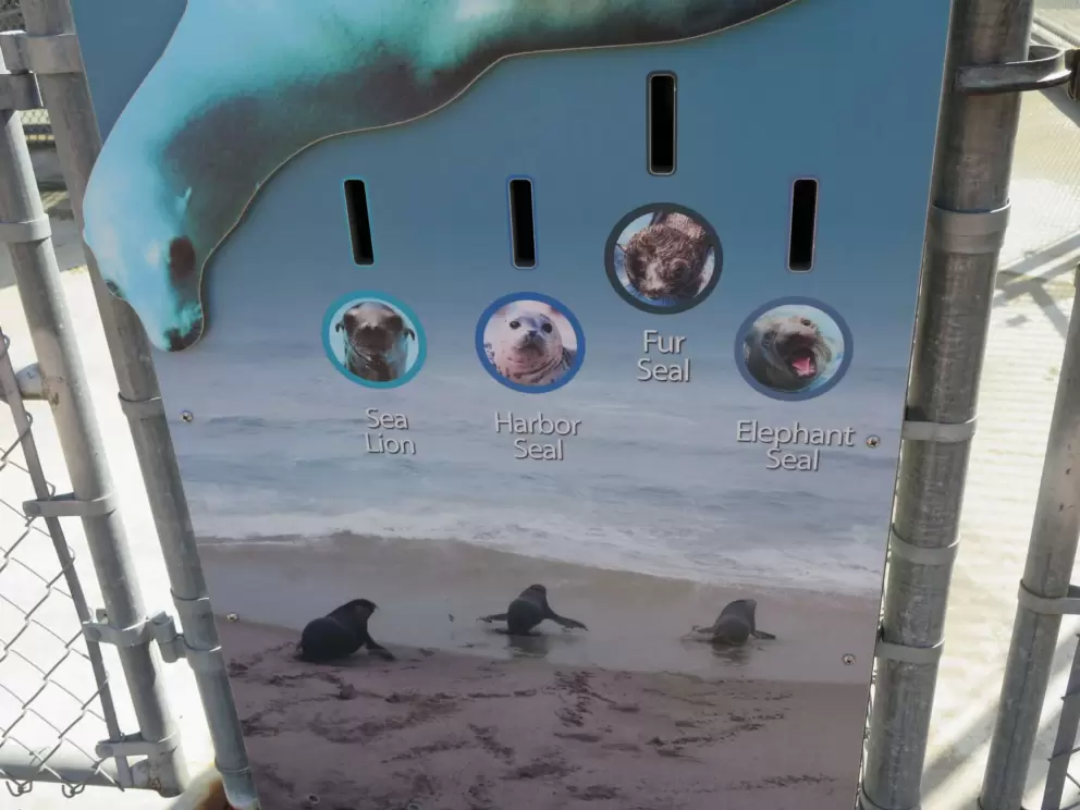 Plaque about four different types of seals. 