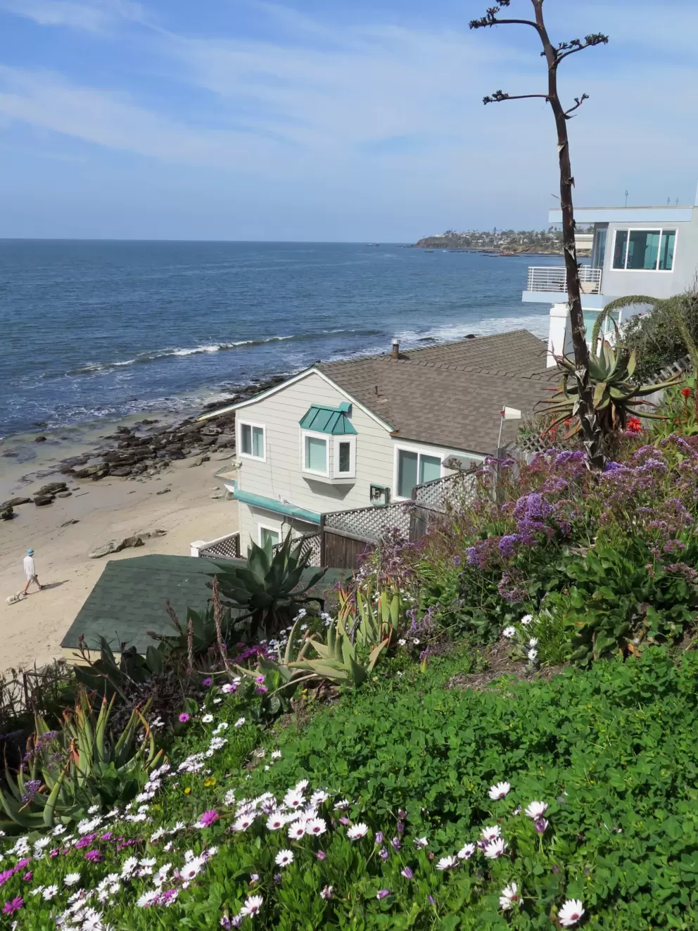 Daisies and beach houses.