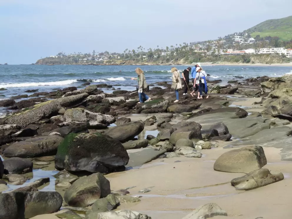 Beachgoers checking out the tidepools. 