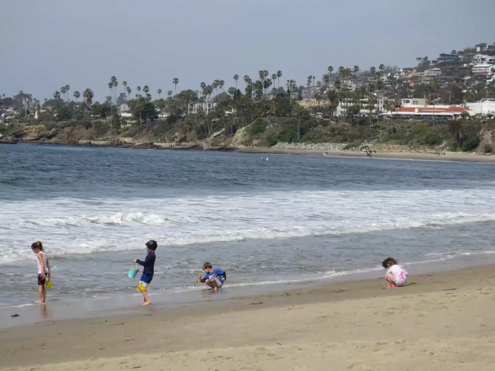 Kids playing at the shore. 
