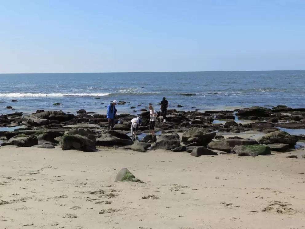 Tide pool explorations!