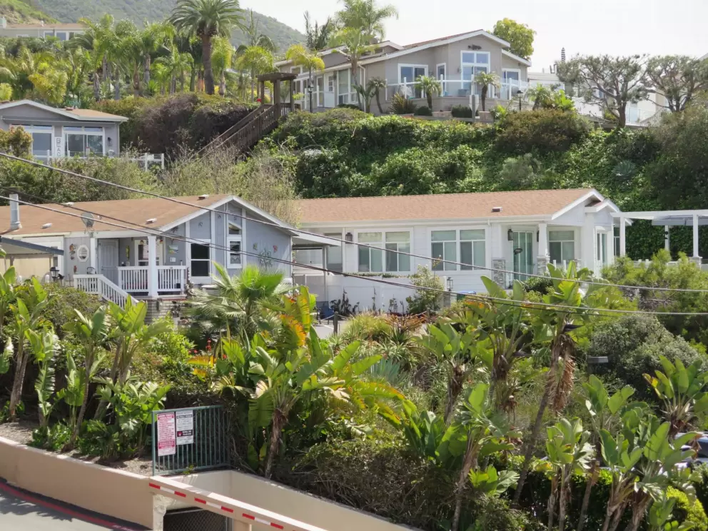 View of lush hills from the rooftop. 