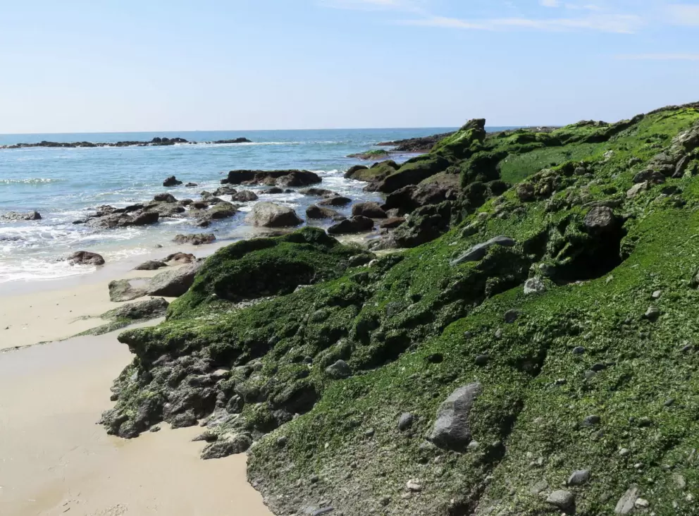 Mossy rocks and the ocean!