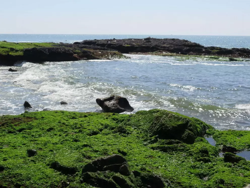 Water rushing between the rocks. 