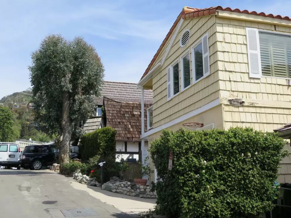 Yellow house and gorgeous tree. I love these trees- they are all over Laguna Beach town. 