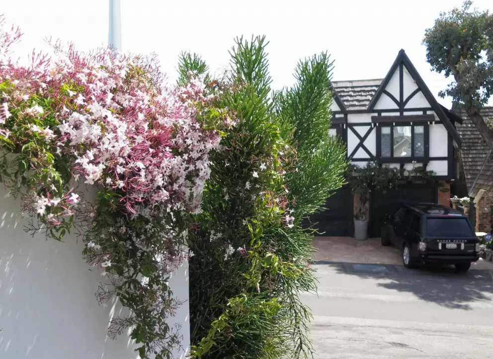 Half-timbered house and flowers spilling over a wall. 