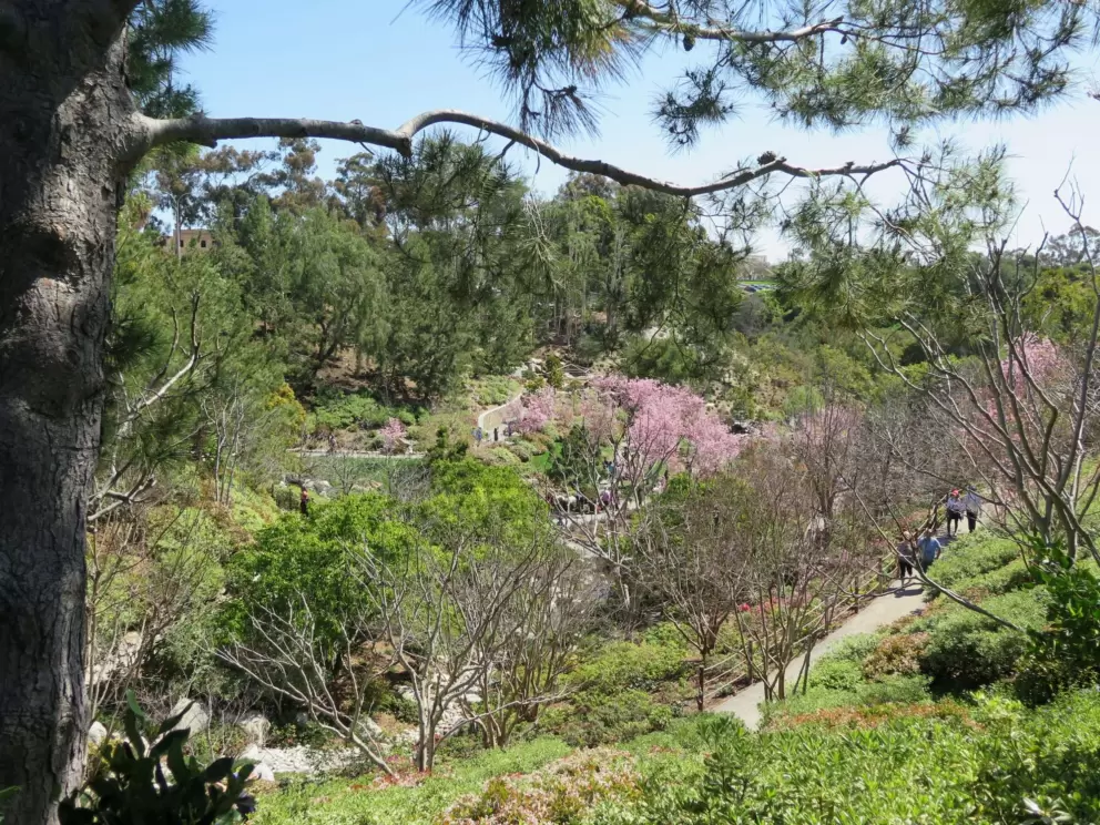 The path down into the garden. 