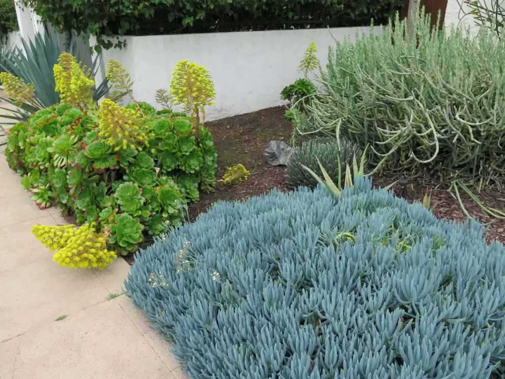 I like the desert landscaping. 