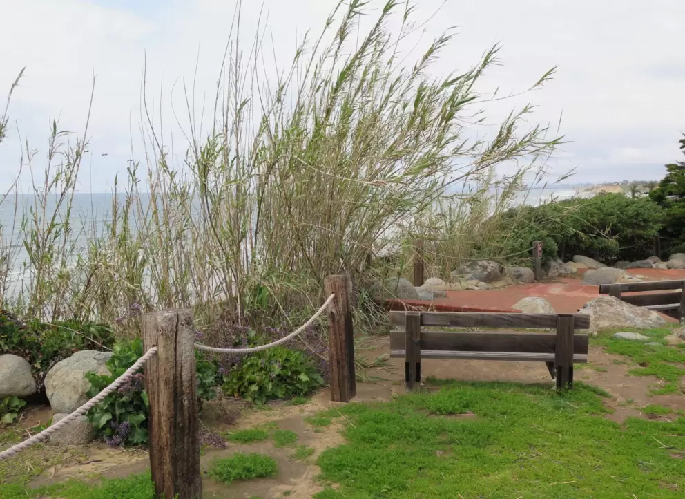 Bench above the sea. 