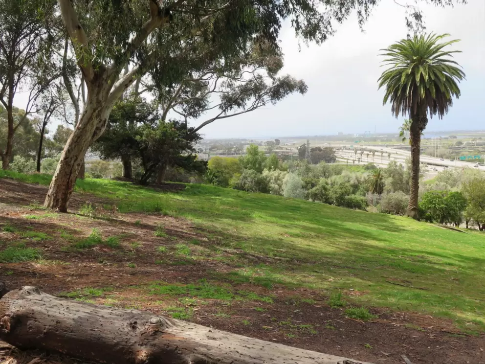 View from the path. 