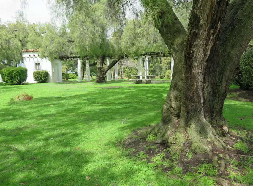 Pergola and a lovely lawn to picnic on.