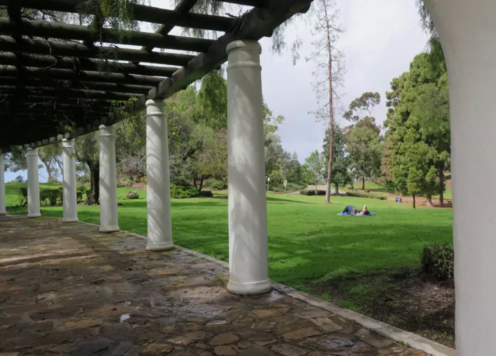 View from the pergola. 