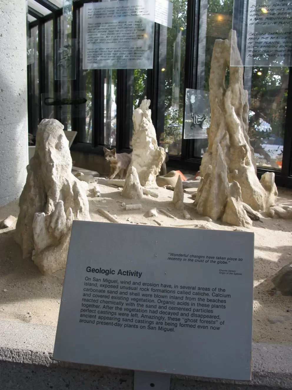 Otherworldly caliche rock formations.