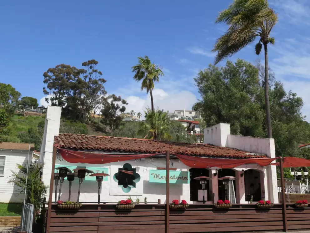 Cafe, blue sky, and palms. 