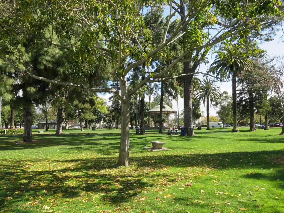 A lawn to run on!