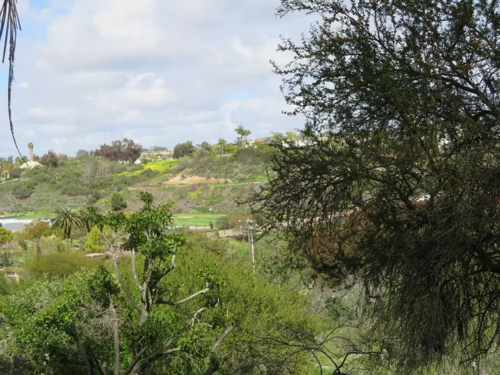 View of Encinitas in the distance. 