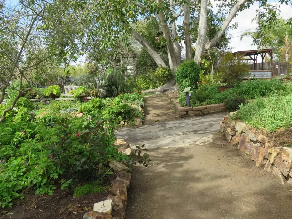 Paths in the walled garden. 