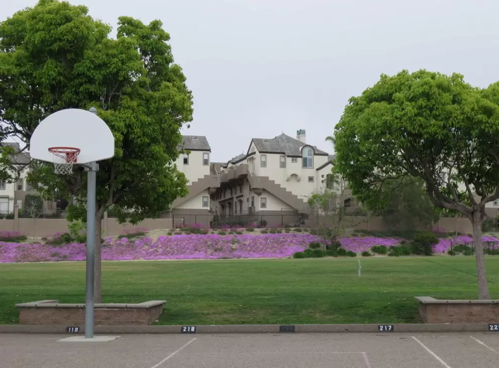 Basketball hoop. 