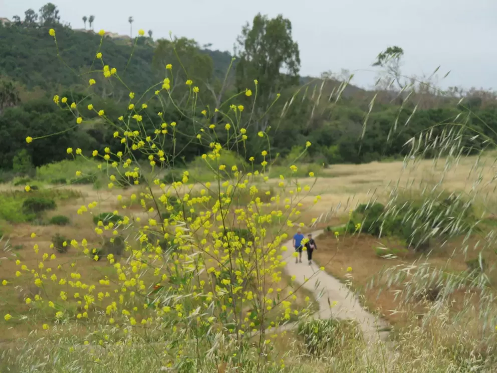 A couple walking along the path. 