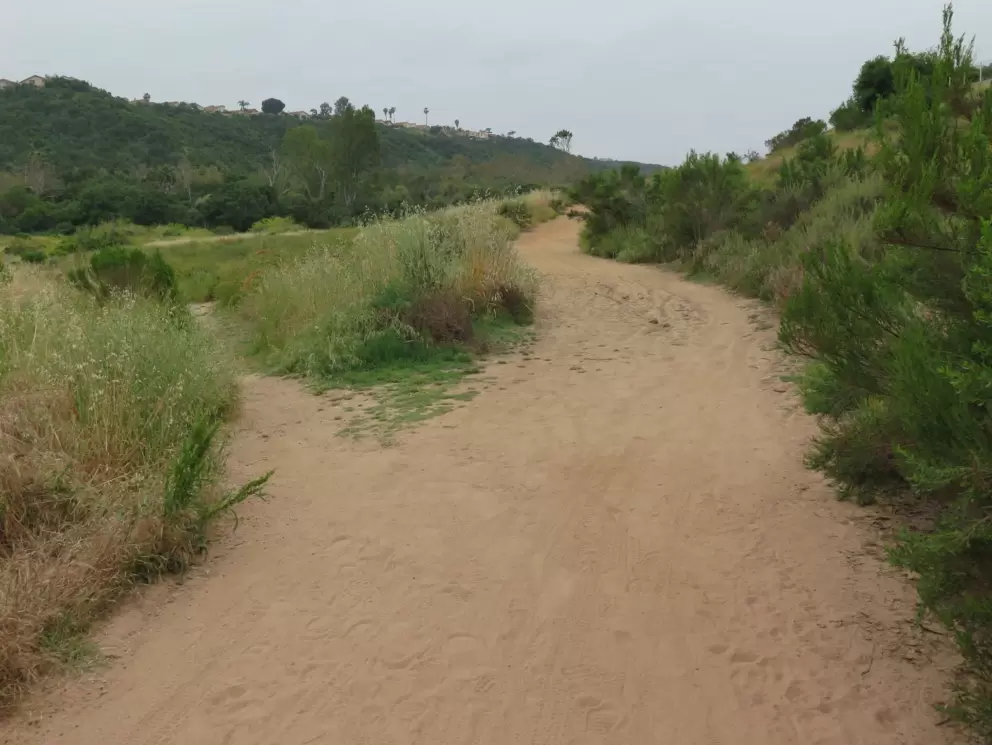 The hard-packed dirt paths. 