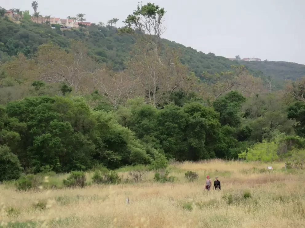 Two people walking along the trail. 