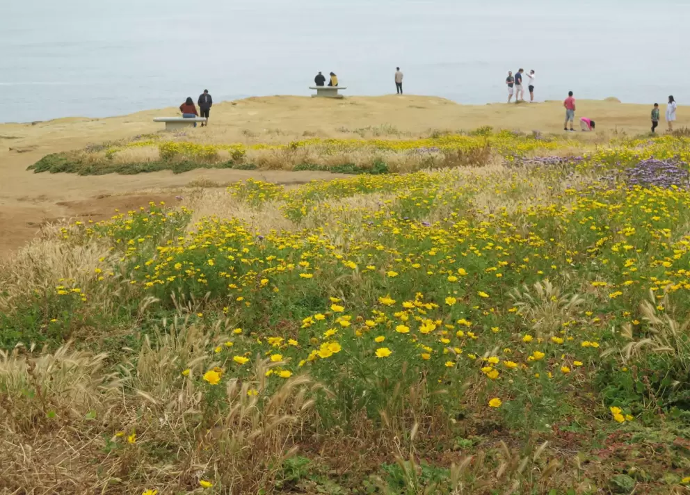 People on the cliff edge. 