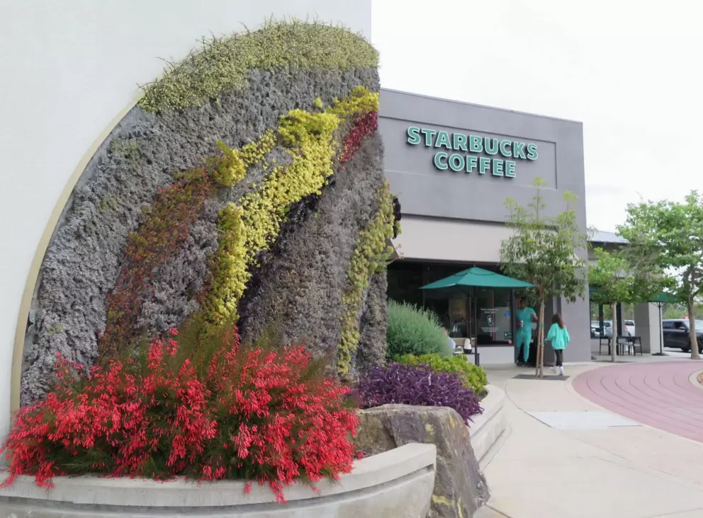 Many colors of the vertical garden. 