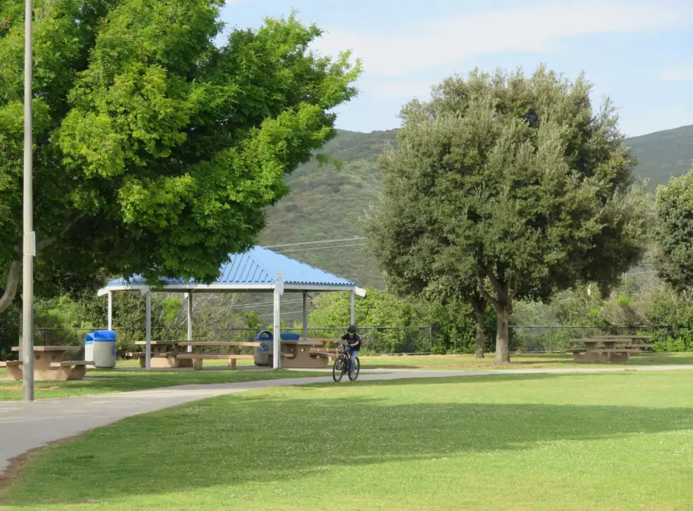 Bike riding around the path. 