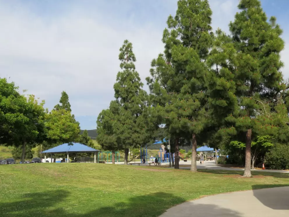 Fir trees and playgrounds. 