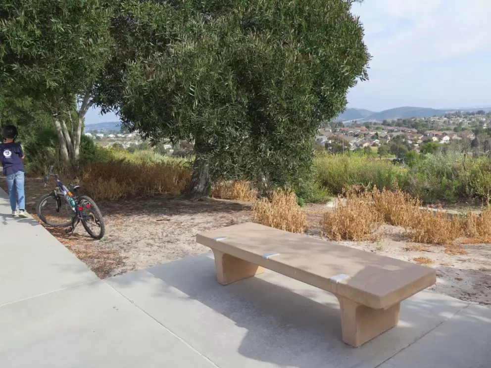 Bench with a view. 