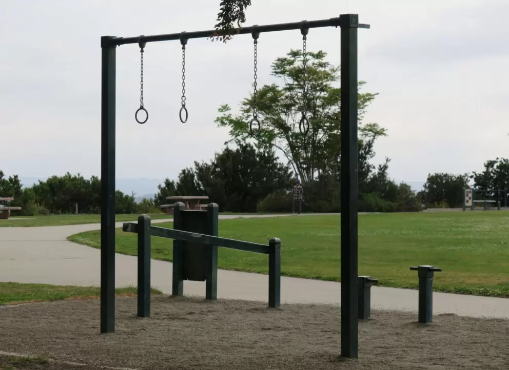 Monkey hoops to swing with. 