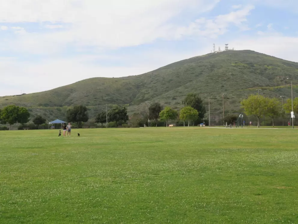 The huge lawn. 