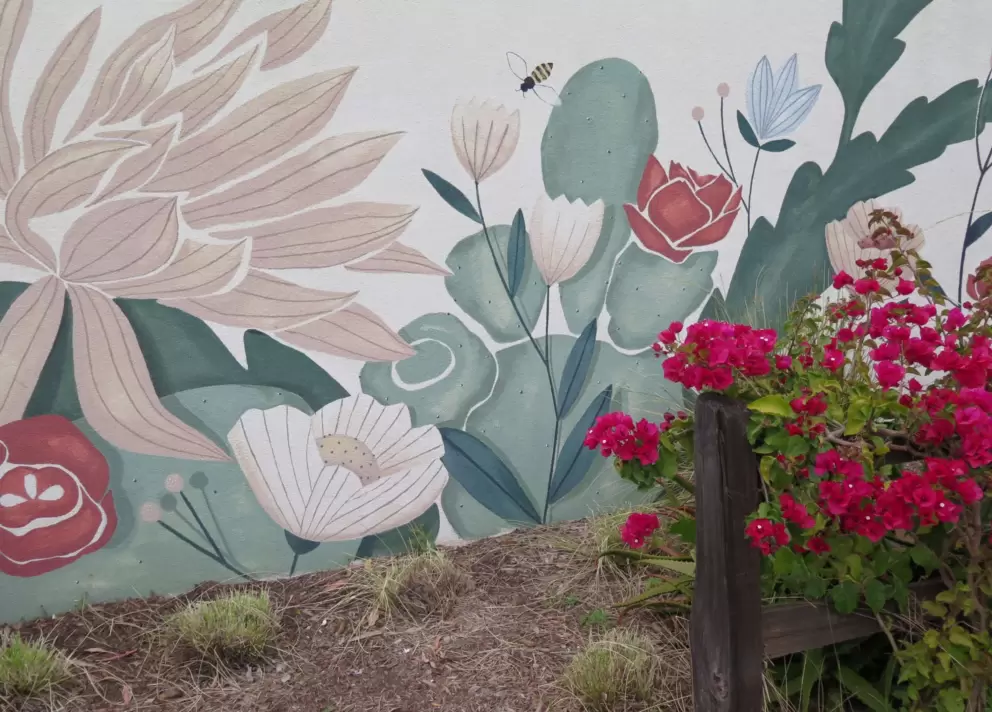 Mural and bougainvillea. 