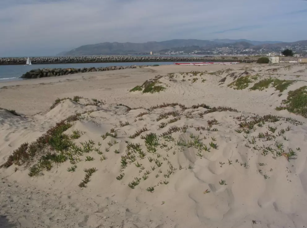 The dunes.