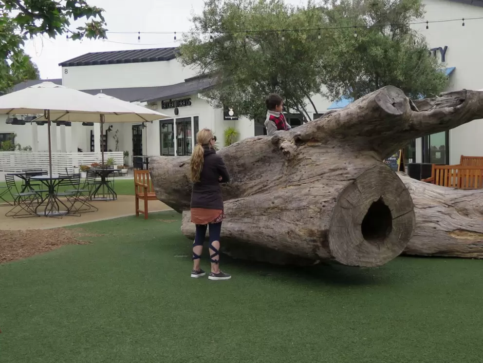 Tree trunk play area. 