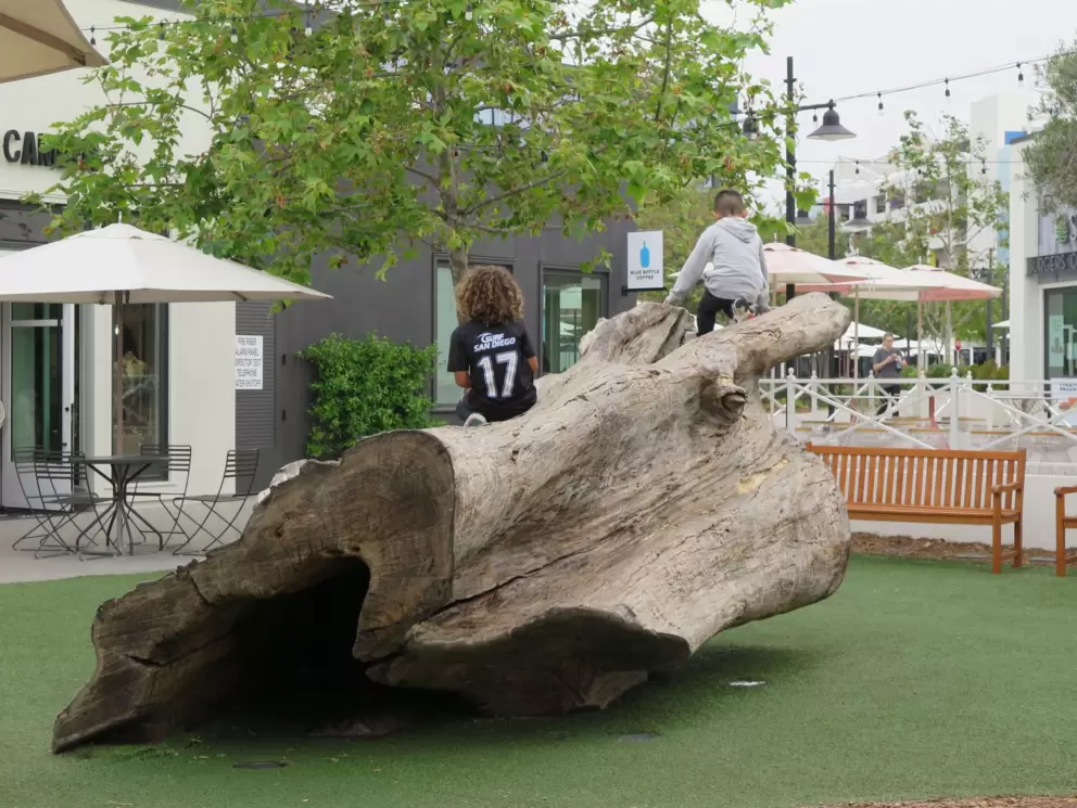 Tree trunk playground. 
