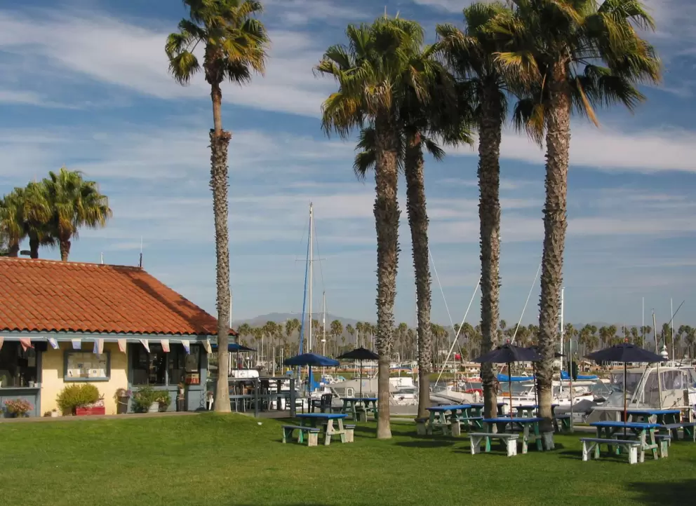 The sunny tables, large lawn, and harbor views at Harbor Cove Cafe.