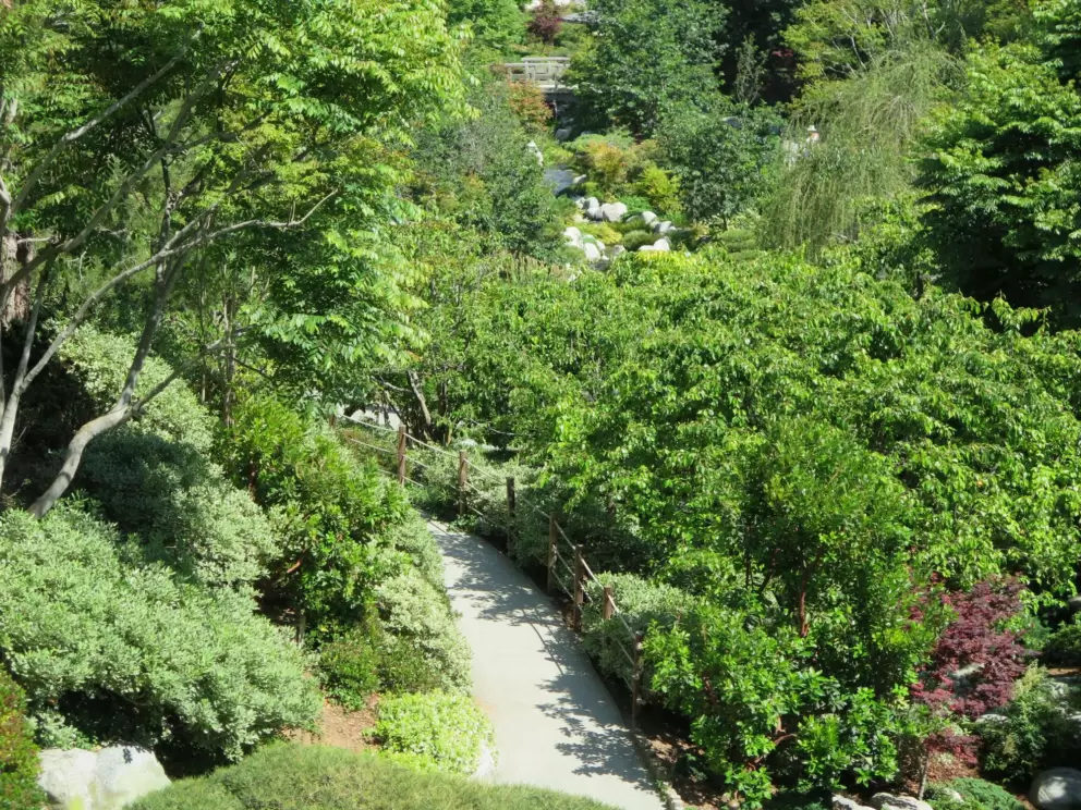 Looking down at the Japanese garden. 