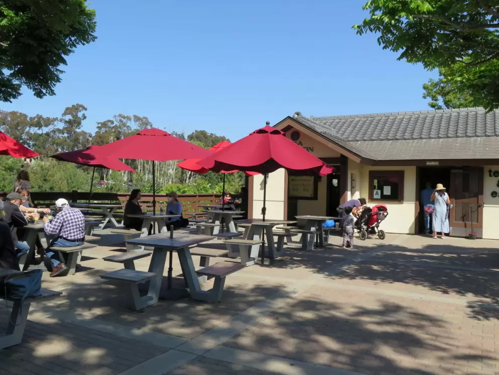 The Tea Pavilion at the entrance to the garden. 