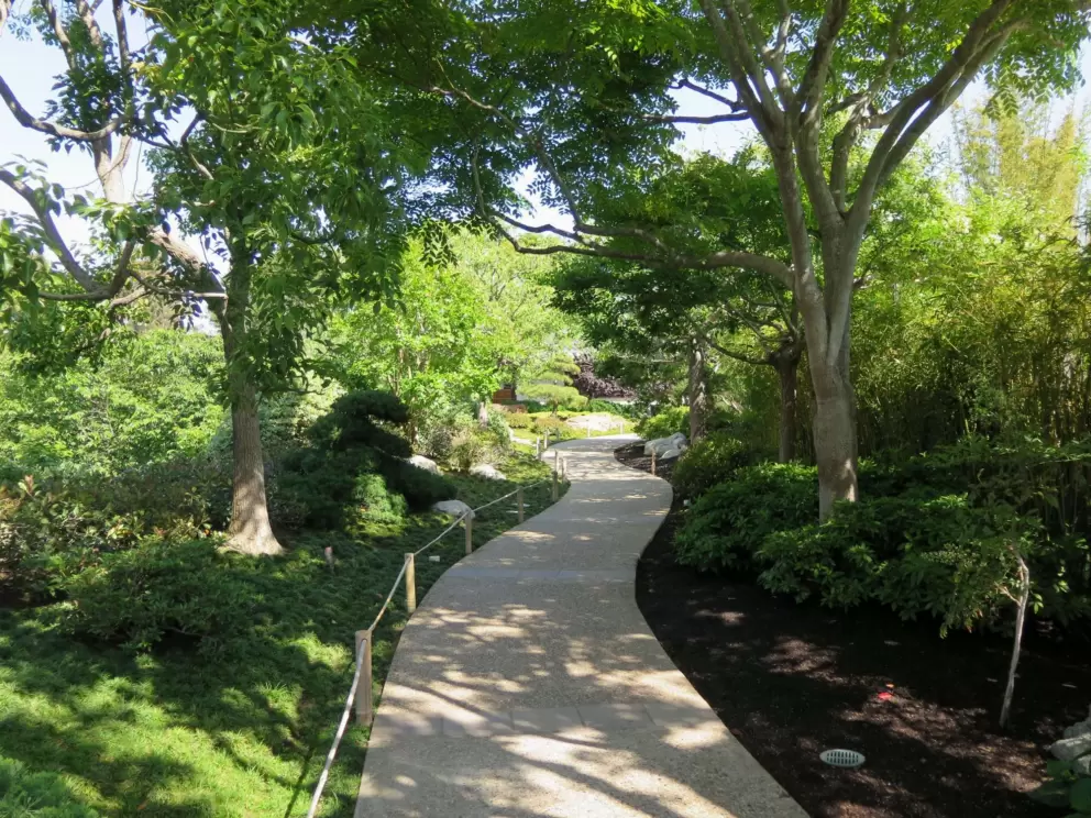 Winding path through greenery.