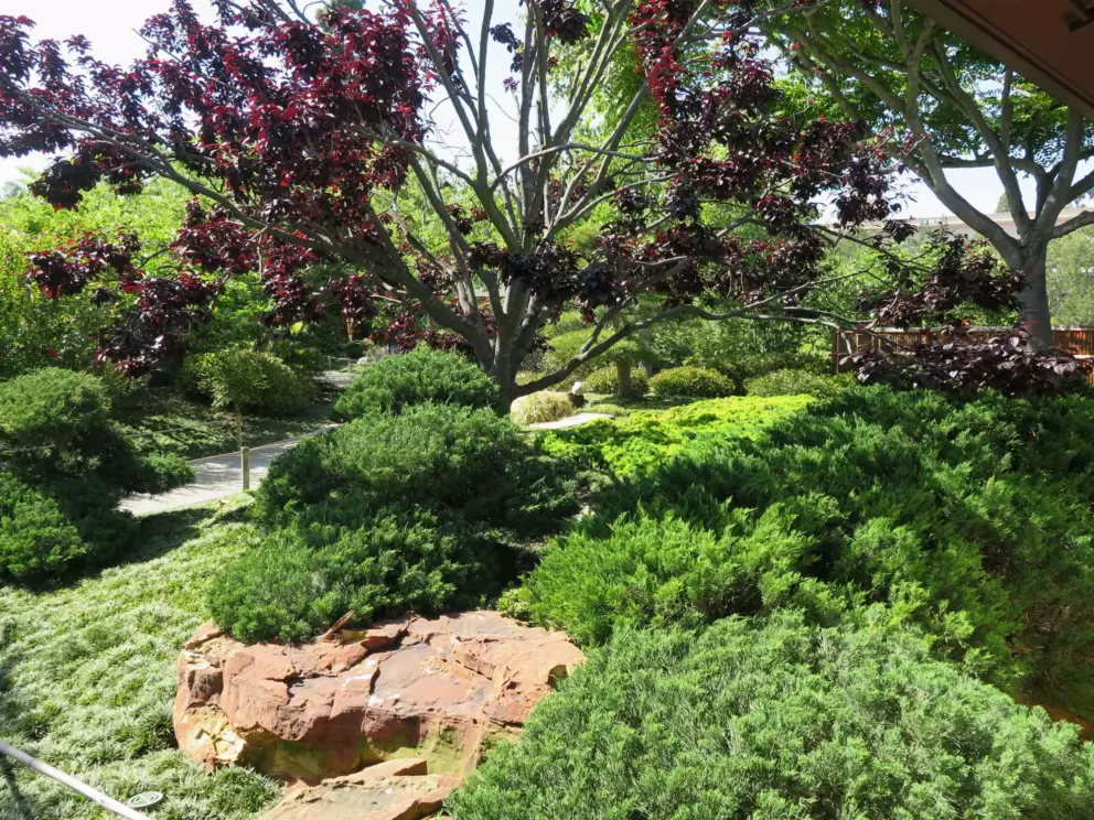 Trees of different colors. 