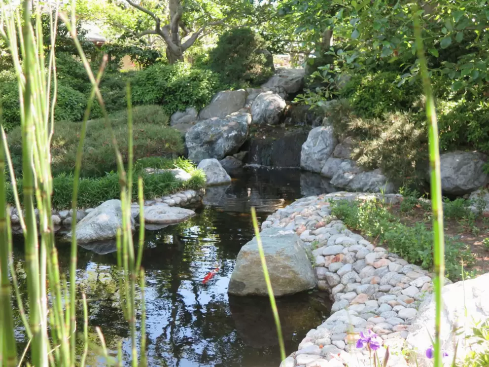 Stream with waterfall landscaping. 